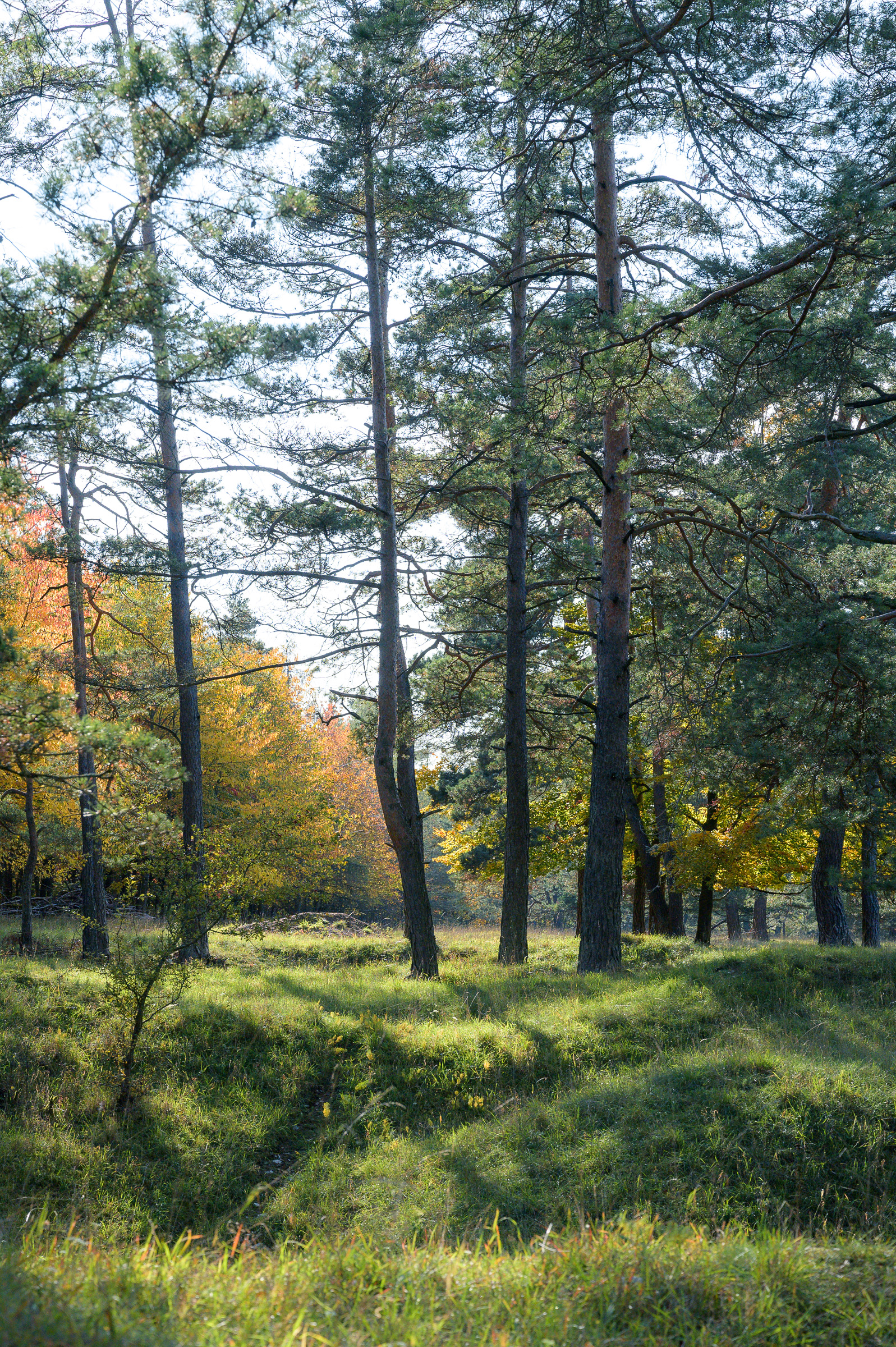 Herbstwanderung 0338