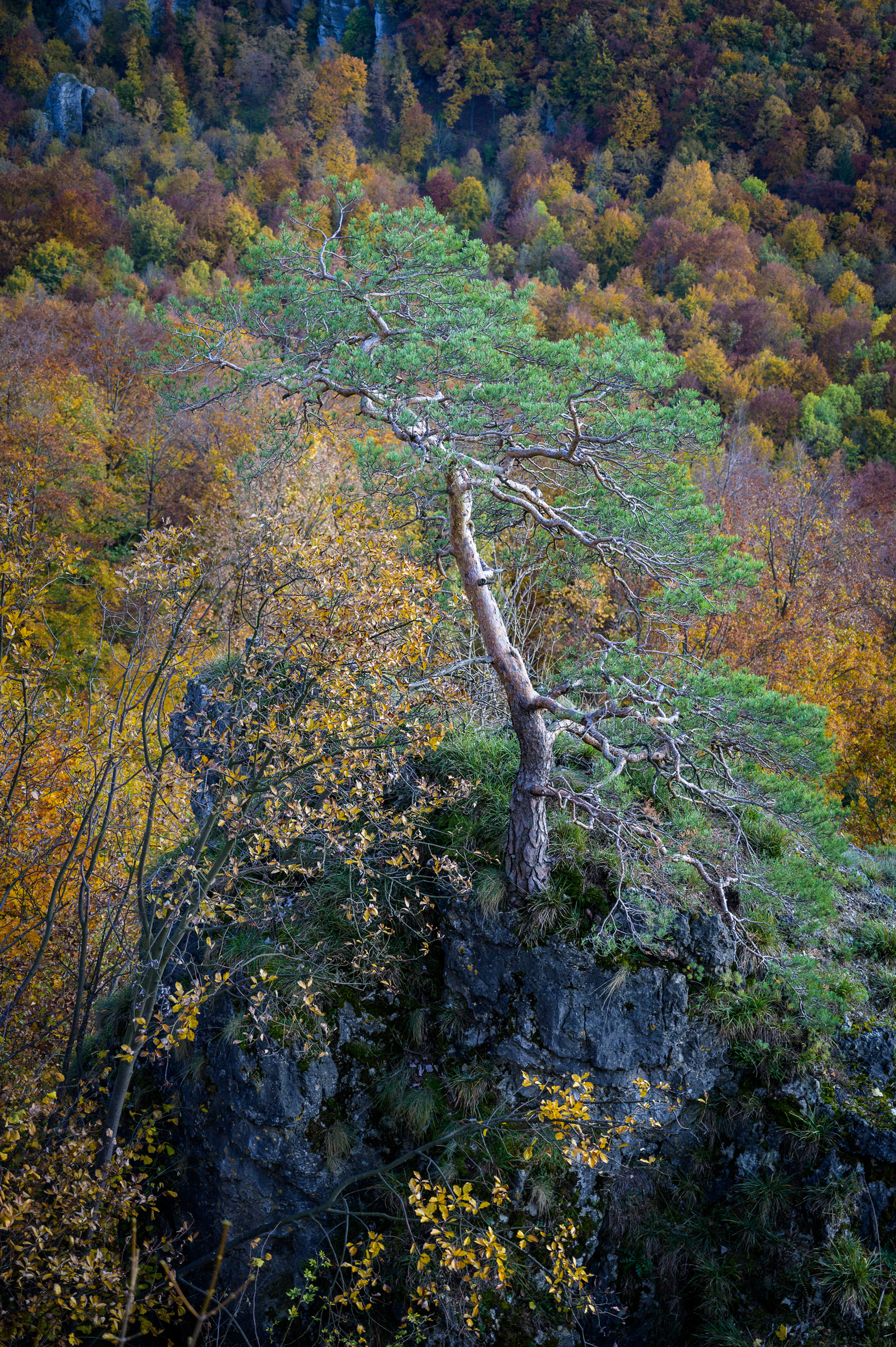 Herbstwanderung 0365