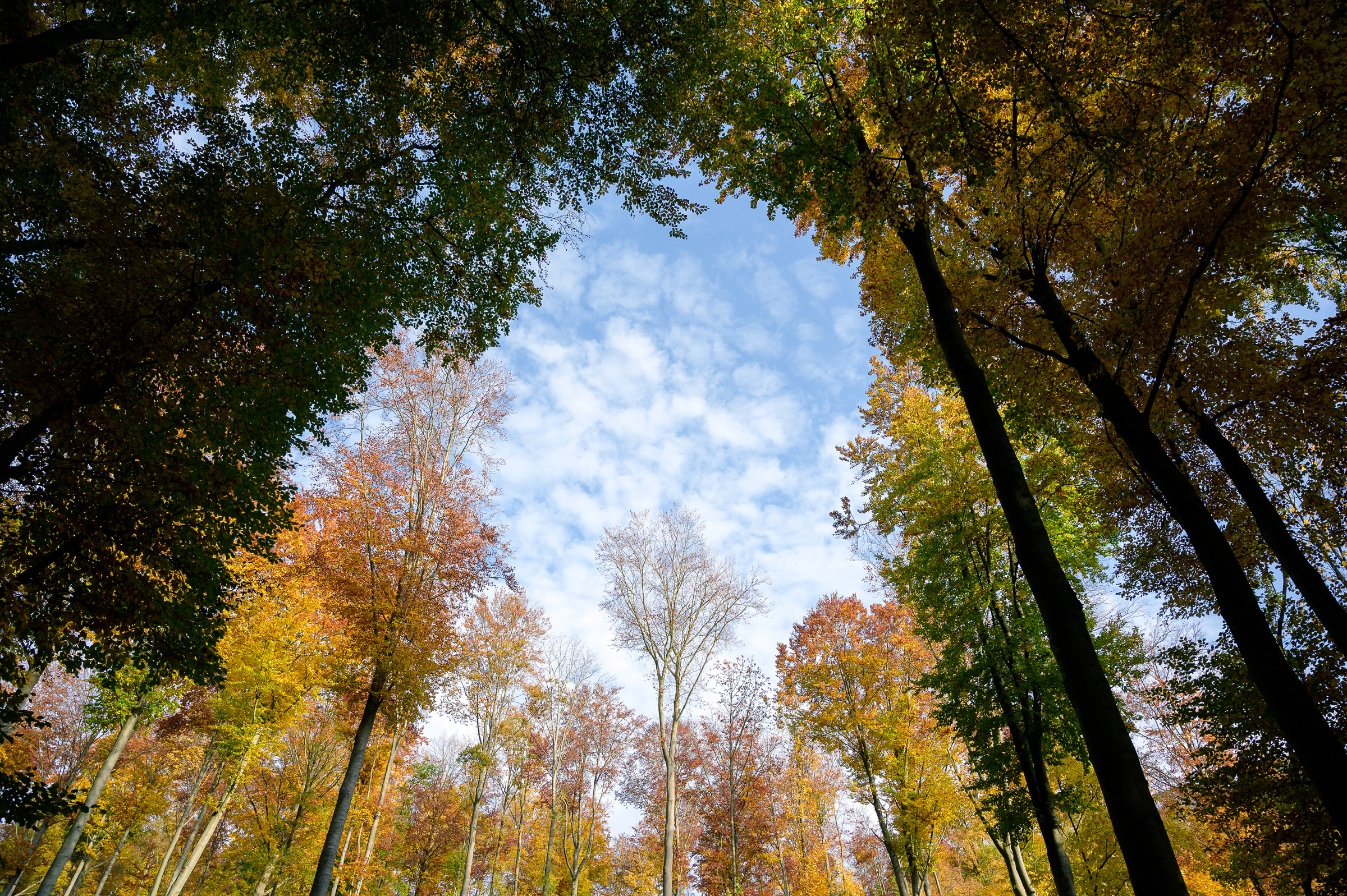 Herbstwanderung 0374