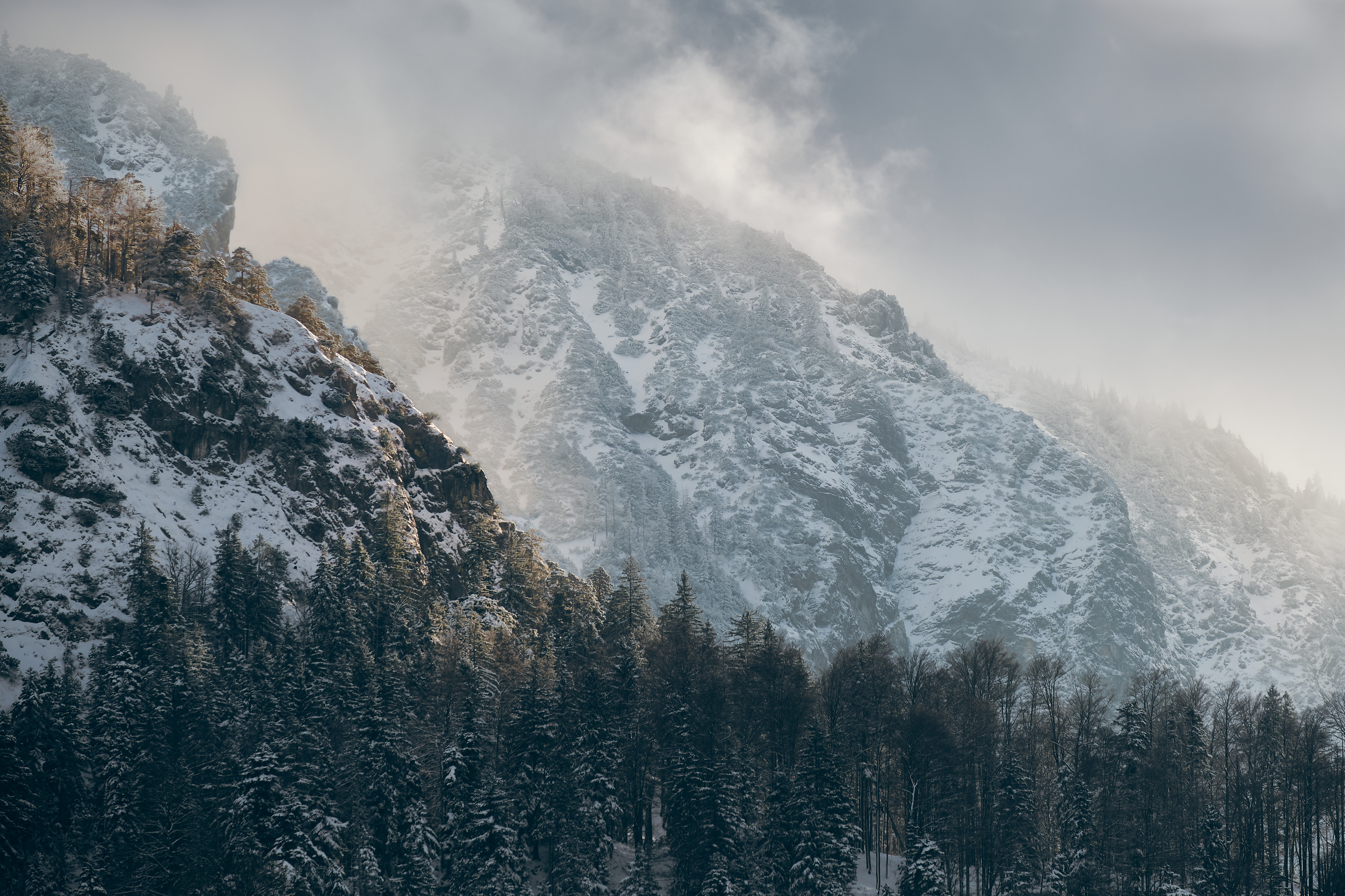 Kochelsee DSF4444 1600px