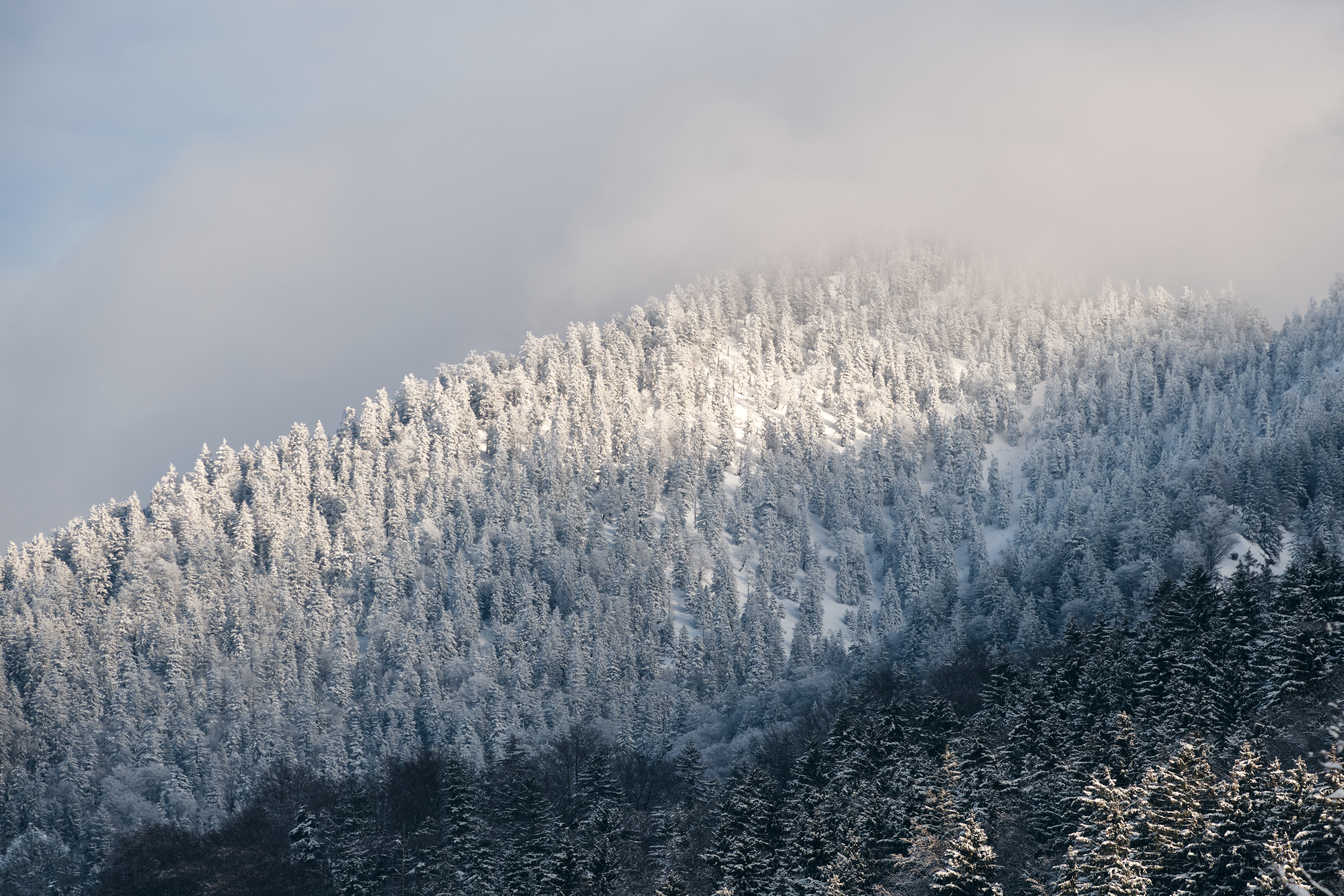 Kochelsee DSF4448 1600px