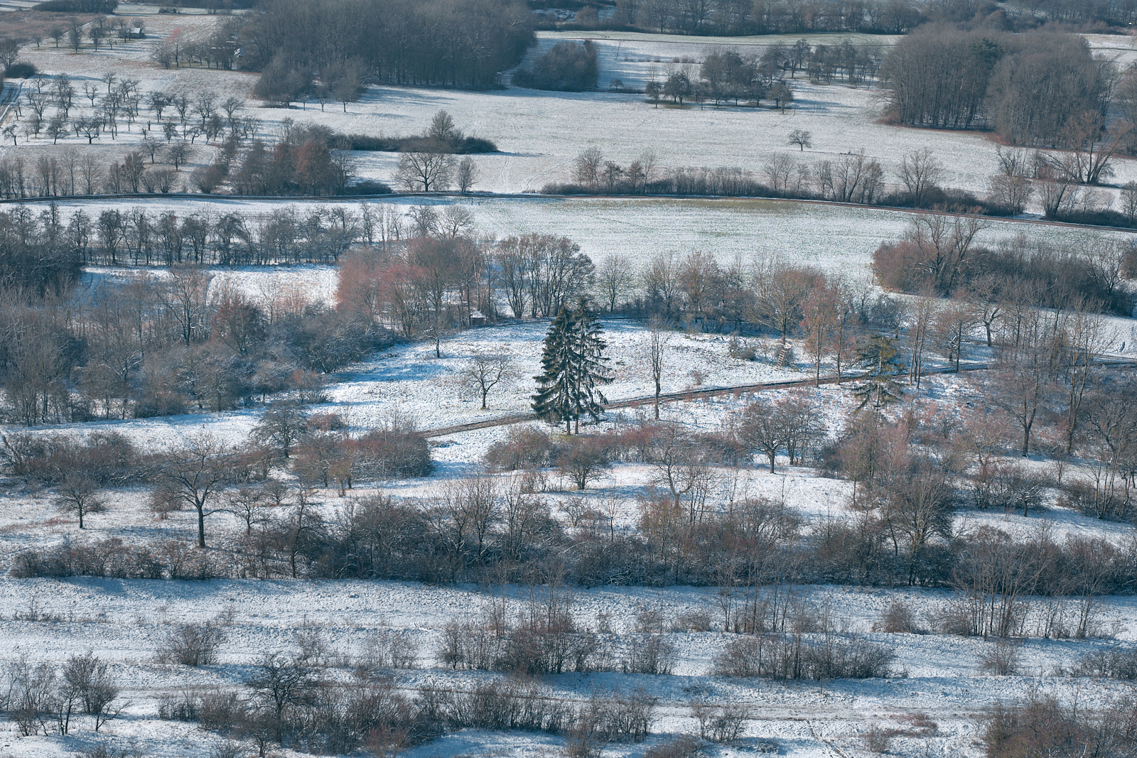 Walberla DSF4083 1600px