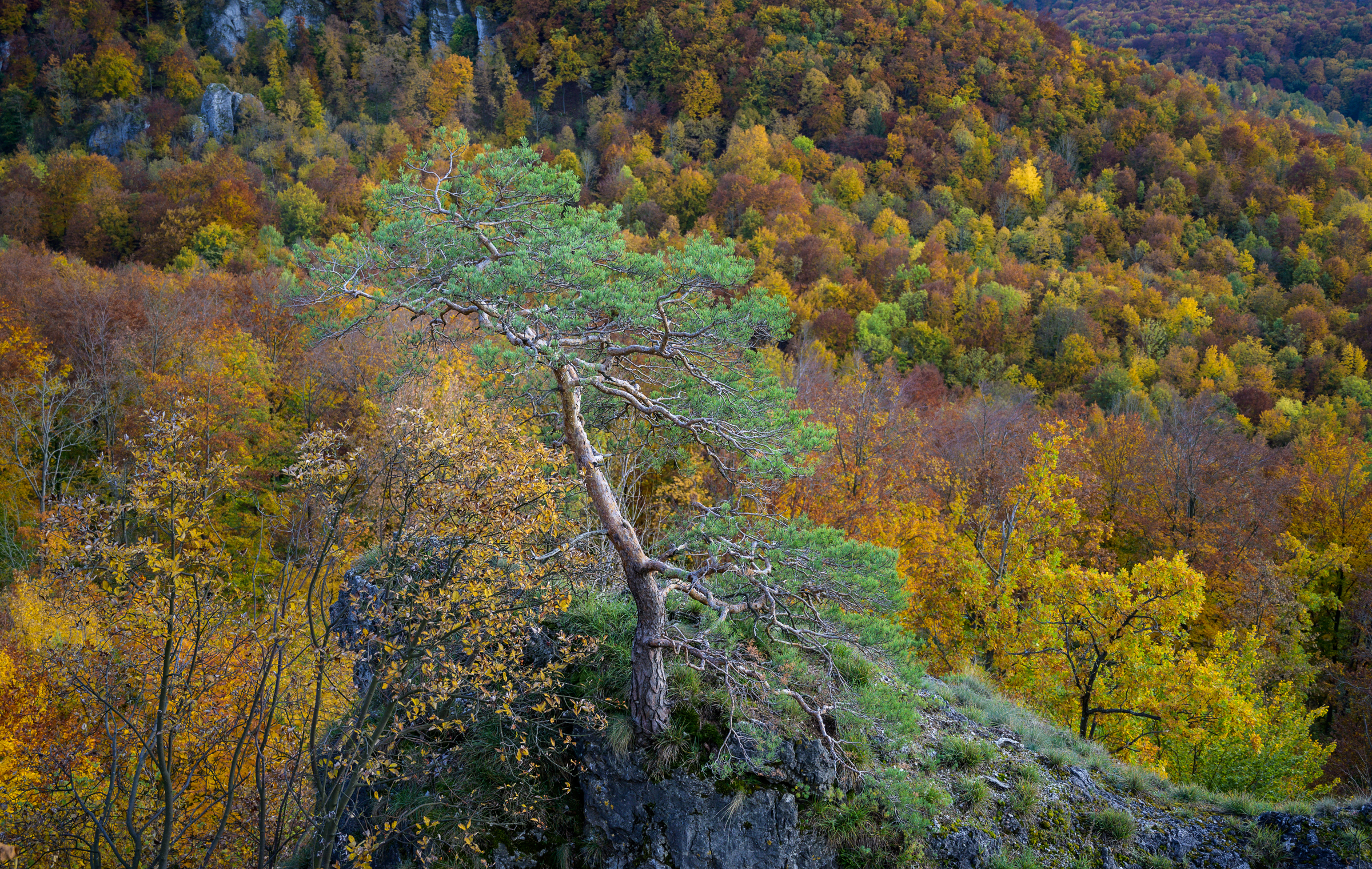Herbstwanderung 0364