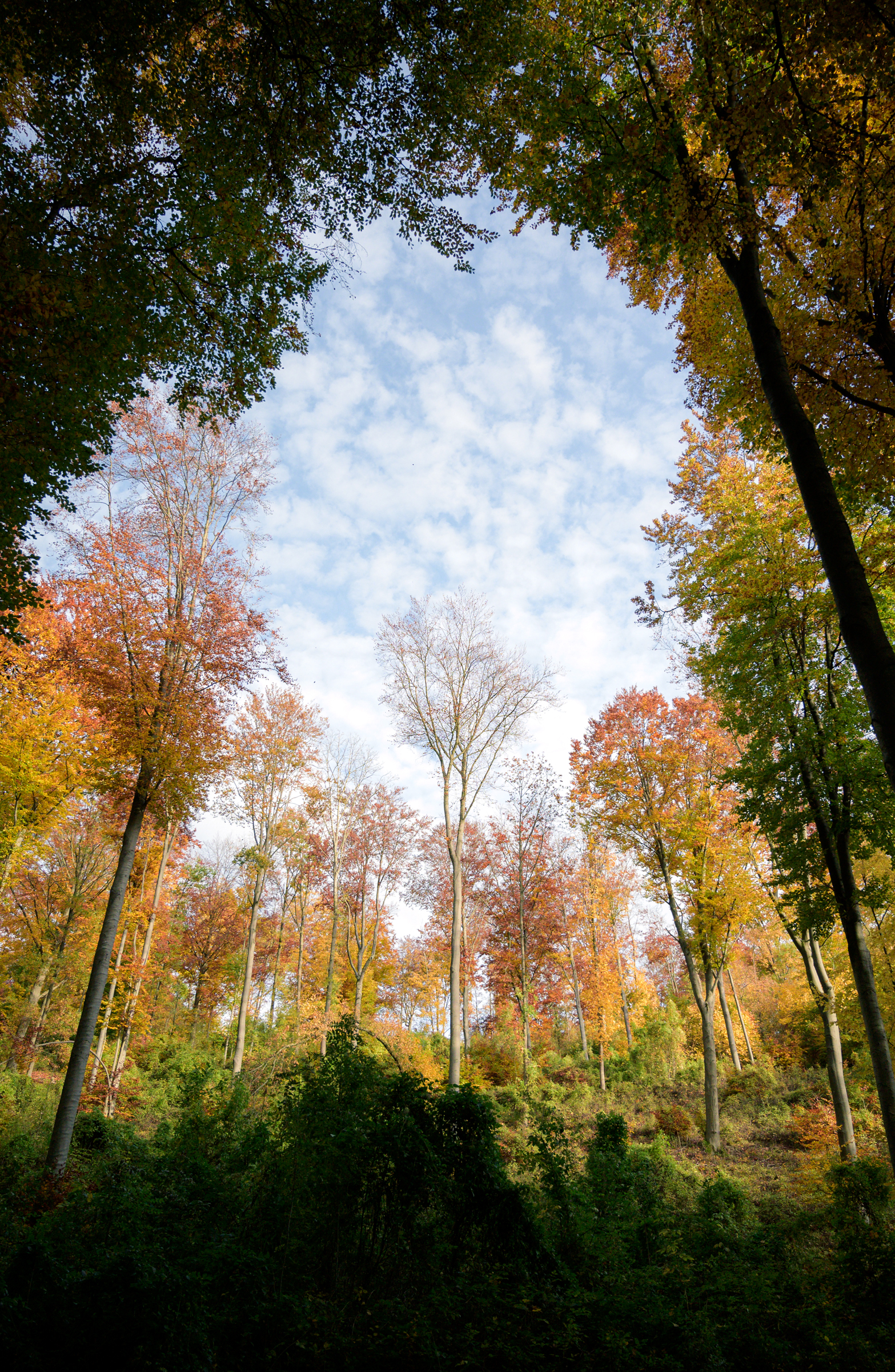 Herbstwanderung 0371